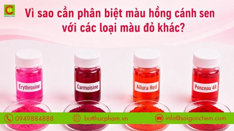 Vì sao cần phân biệt màu hồng cánh sen với các màu khác?
